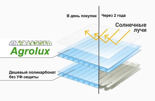 товар Сотовый поликарбонат Agrolux 